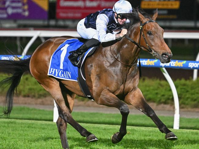 Maktoob (GB) ridden by Blaike McDougall wins the Battery Zone Handicap at Sportsbet Pakenham on March 23, 2023 in Pakenham, Australia. (Morgan Hancock/Racing Photos via Getty Images)