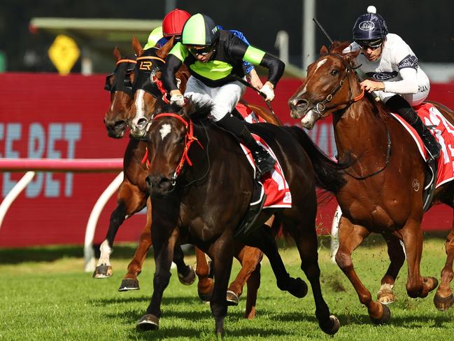 SYDNEY, AUSTRALIA - MAY 31: Andrew Adkins riding King's Secret win Race 5 Toyota Forklifts during Sydney Racing at Rosehill Gardens on May 31, 2025 in Sydney, Australia. (Photo by Jeremy Ng/Getty Images)
