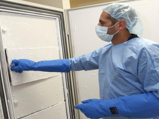 Forensic officer Dr Renato Salemi examines old crime scene exhibits stored in a freezer at the Victoria Police forensic services centre.