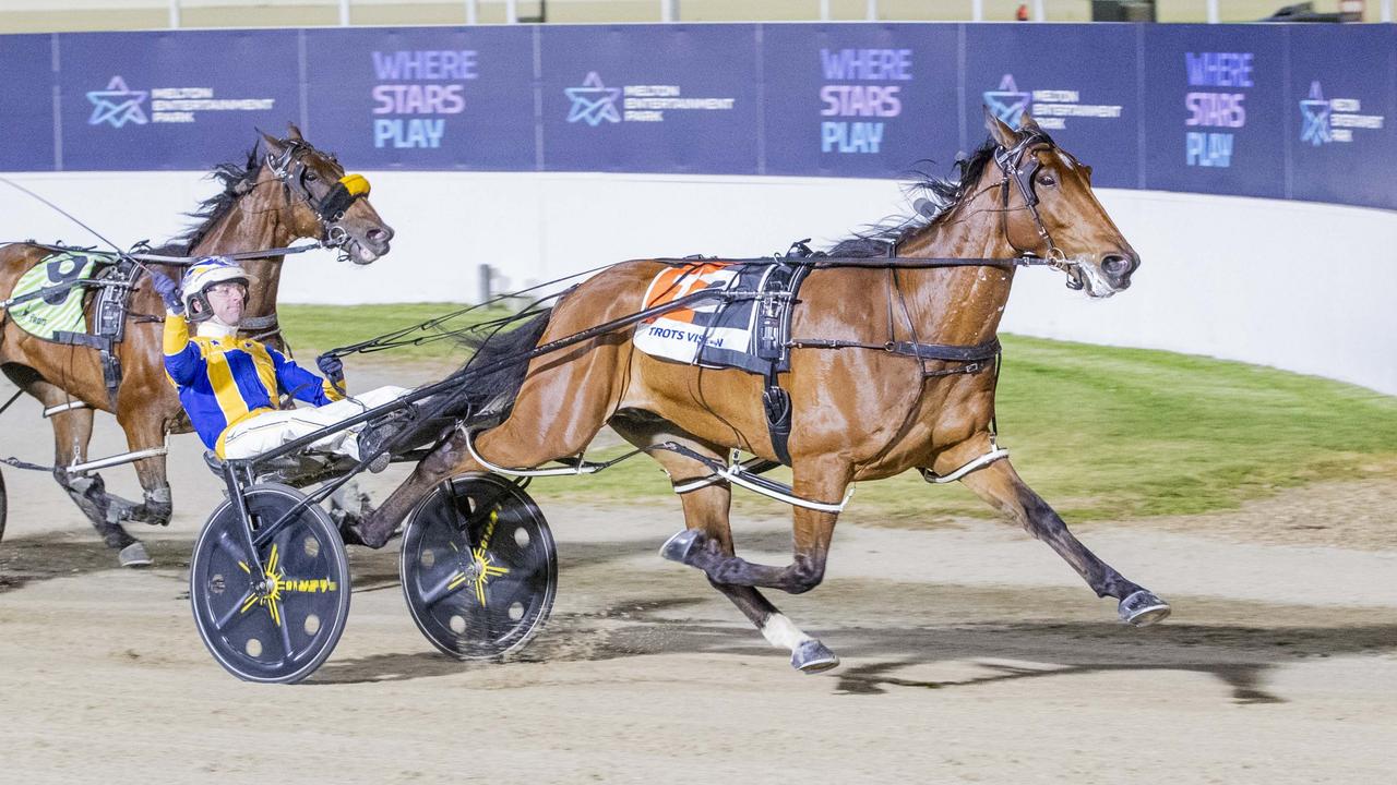 Swayzee is seeking a third win in the NSW Carnival of Cups series. Picture: Stuart McCormick