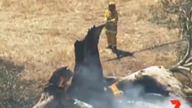 Volunteer firefighters at the fire at Coles, near Lucindale. 7NEWS