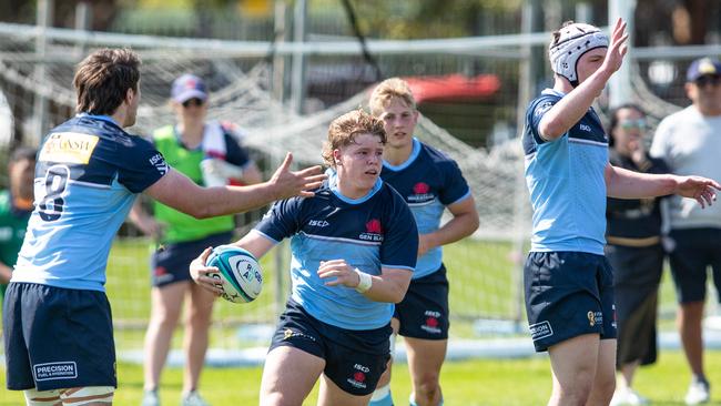 Alcock on the burst against the ACT Brumbies.