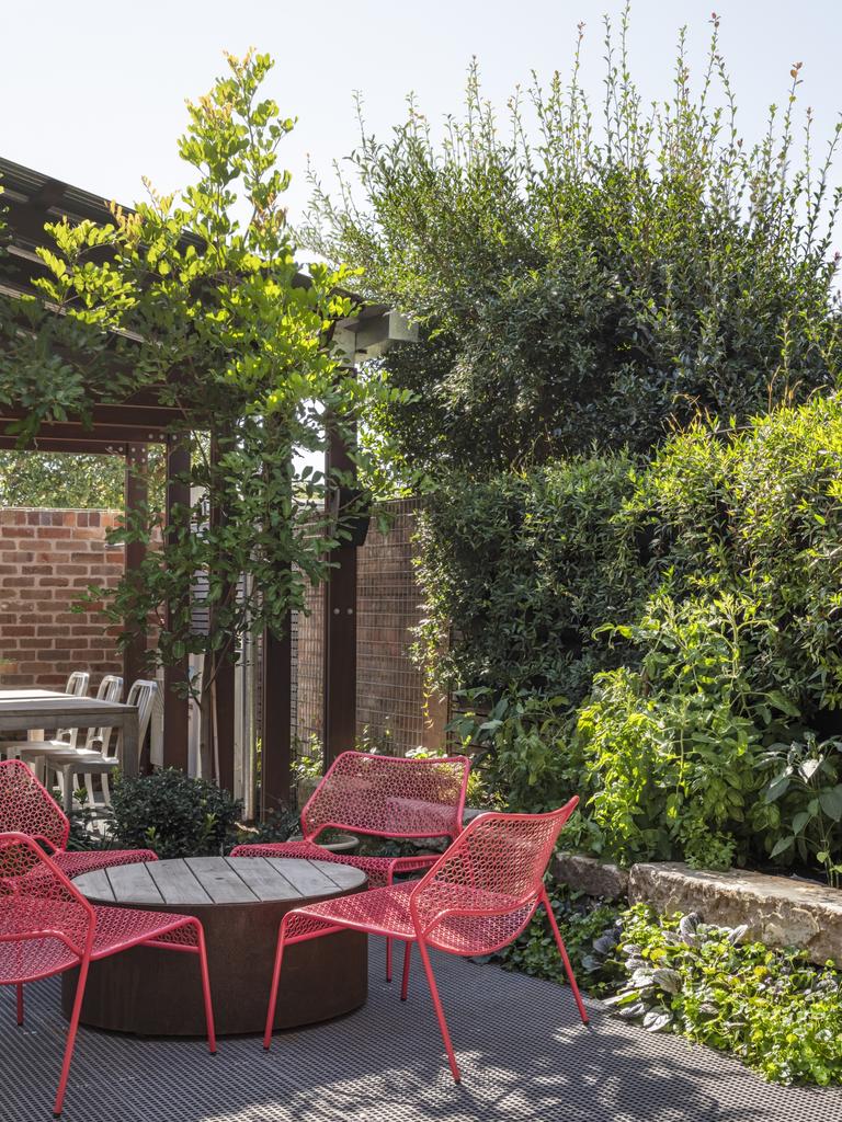 Newtown garden designed by Mark Bell from Bell Landscapes. Architecture by C+C Architectural Workshop. Picture: Murray Fredericks