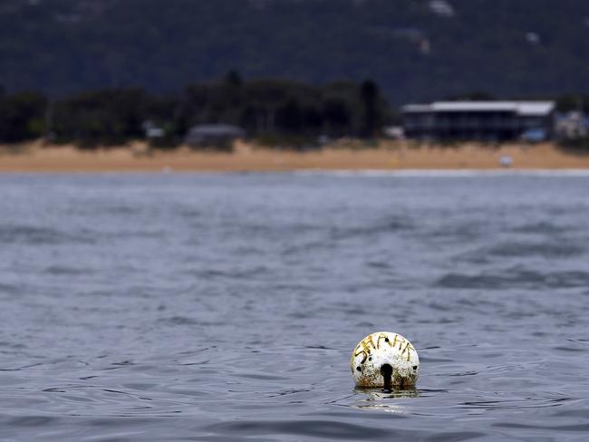 Shark netting off the head land of Umina Beach.