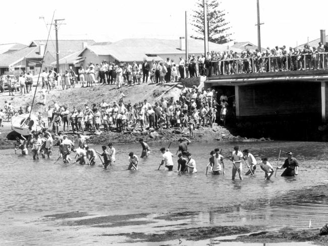 Police wade through the Patawalonga during a search for the missing Beaumont children in 1966.