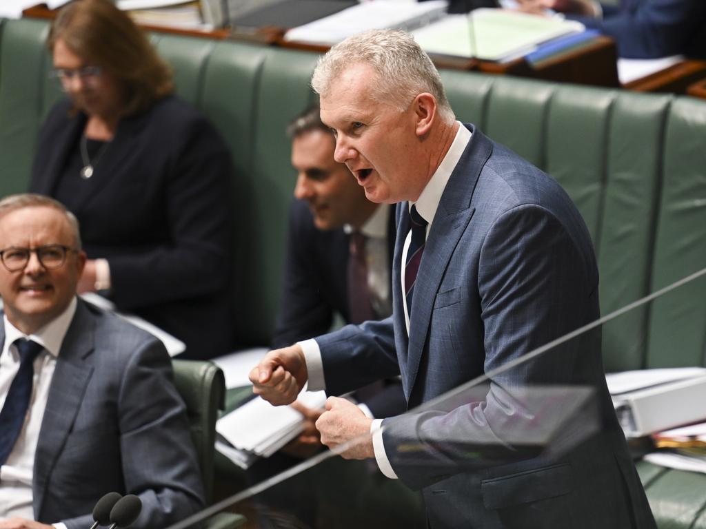 Tony Burke has hit back at Coalition criticism of Labor’s Bill. Picture: NCA NewsWire / Martin Ollman