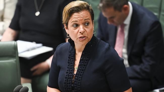 Communications Minister Michelle Rowland is launching a new inquiry into social media companies and their impact on Australians. Picture: NCA NewsWire / Martin Ollman