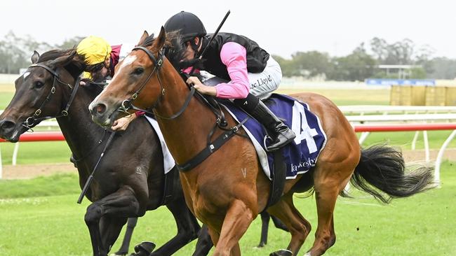 It's A Wonder is chasing a third carer win when she heads to the Kensington. Picture: Bradley Photos