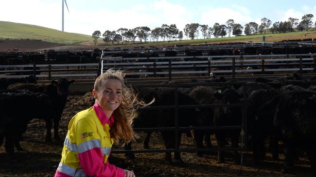 Burra feedlot business