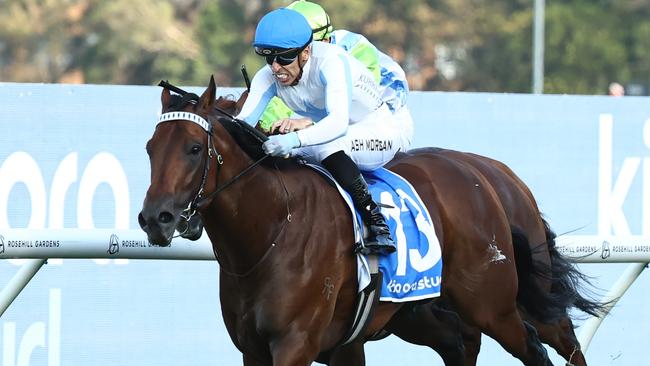 SYDNEY, AUSTRALIA - MARCH 22: Ashley Morgan riding  Private Harry win Race 9 Kia Ora Galaxy during the 