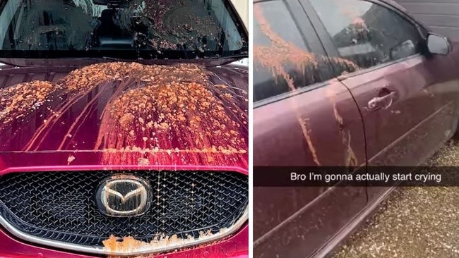 Two different cars in two different suburbs allegedly covered in a damaging mixture of egg, beans, dog food, and sprinkles.