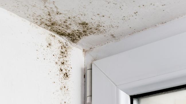 There was mould in the bathroom. Picture: iStock