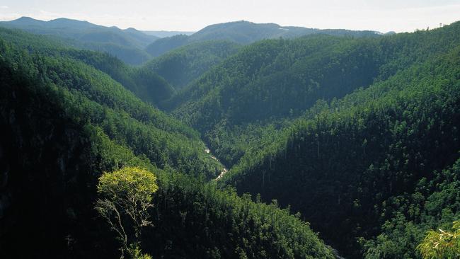 Police have been searching for Scott Murphy near Leven Canyon. Picture: TOURISM TASMANIA &amp; OWEN HUGHES.