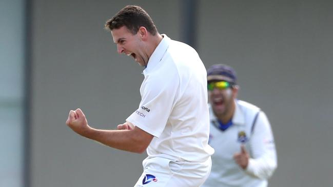 St Bernard’s bowler Conor McGuire celebrates a wicket last season.