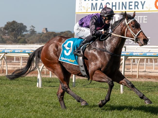 Troy Pannell had insured racehorses for more than $1 million.