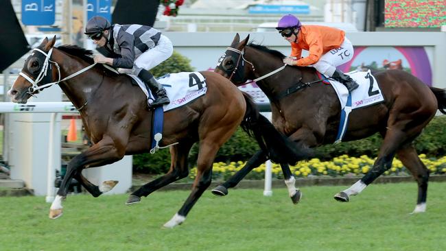 Like many of Geoff Grimish’s horses, Stradbroke Handicap hopeful Counterattack has a military meaning. Picture: Mark Cranitch