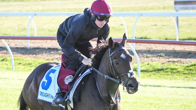 Defending Melbourne Cup champ Twilight Payment had X-rays taken on Tuesday. Picture: Racing Photos via Getty Images