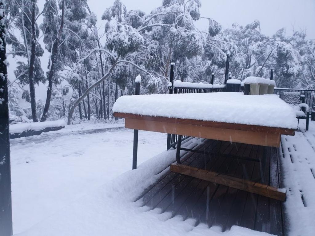 NSW Snow Photos: Cold Weather Brings Snowfall To Blue Mountains ...