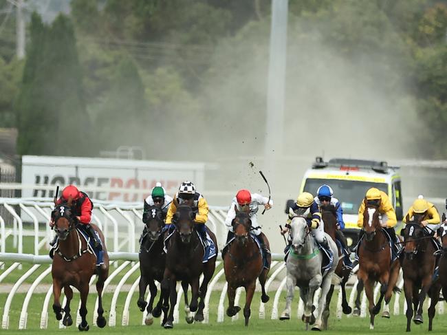 NEWCASTLE, AUSTRALIA - NOVEMBER 16: Rachel King riding Townsend win Race 6 Alf Kneebone Trans Tasman Trophy during The Hunter Race Day at Newcastle Racecourse on November 16, 2024 in Newcastle, Australia. (Photo by Jeremy Ng/Getty Images)