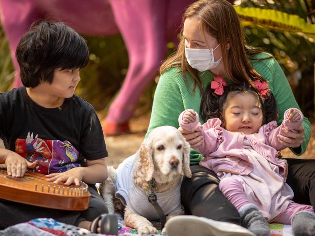 Child life therapist Polly Manning and the dog Henry working with Jessica and Liam. Picture: Julian Andrews