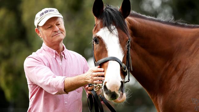 David Payne will change tactics with Foreign Prince on Saturday. Picture: Gregg Porteous