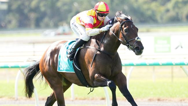 South Australian Derby winner Coco Sun will not head to Brisbane for the Queensland Derby or Queensland Oaks. Picture: Racing Photos via Getty Images.