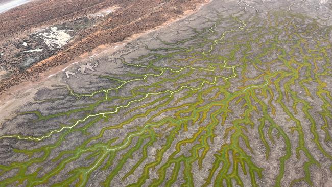 Flood waters flowing into the Cooper Creek, in Queensland's Channel Country. Picture: A Kube Aviation