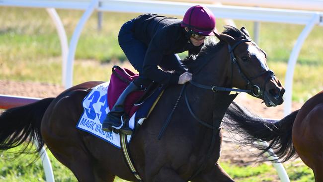 Magic Wand is among the horses trainer Aidan O’Brien has earmarked for the Melbourne spring carnival. Picture: AAP