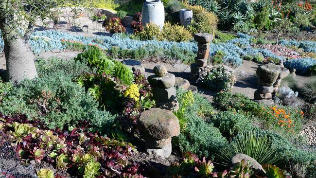 The garden features more than 10,000 plants. Picture: Lawrence Pinder