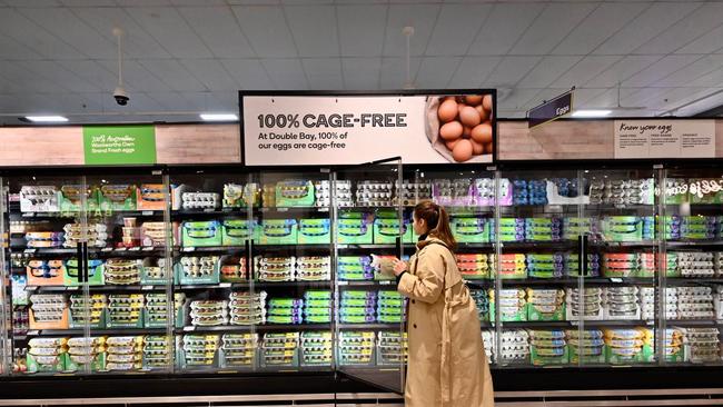 All eggs sold at the Woolworths Double Bay are now cage-free. Image: Woolworths