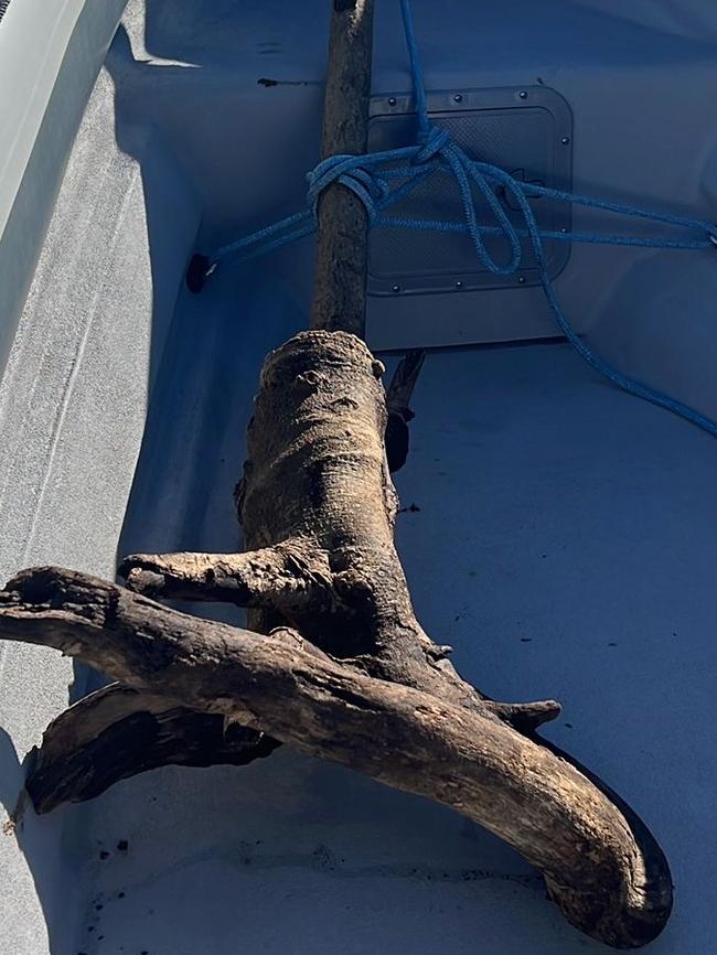 A large piece of wood pulled out of the water off Barcelona.