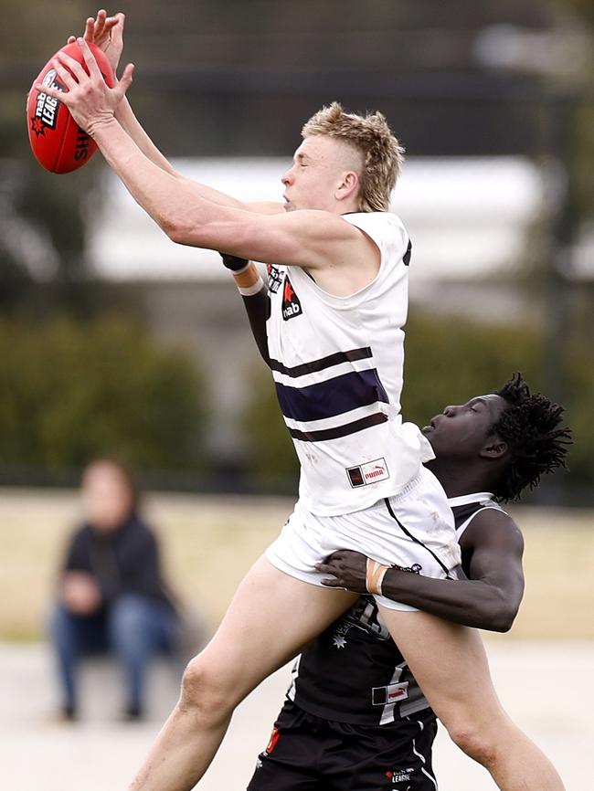 Nate Caddy in action for Northern Knights before getting drafted.