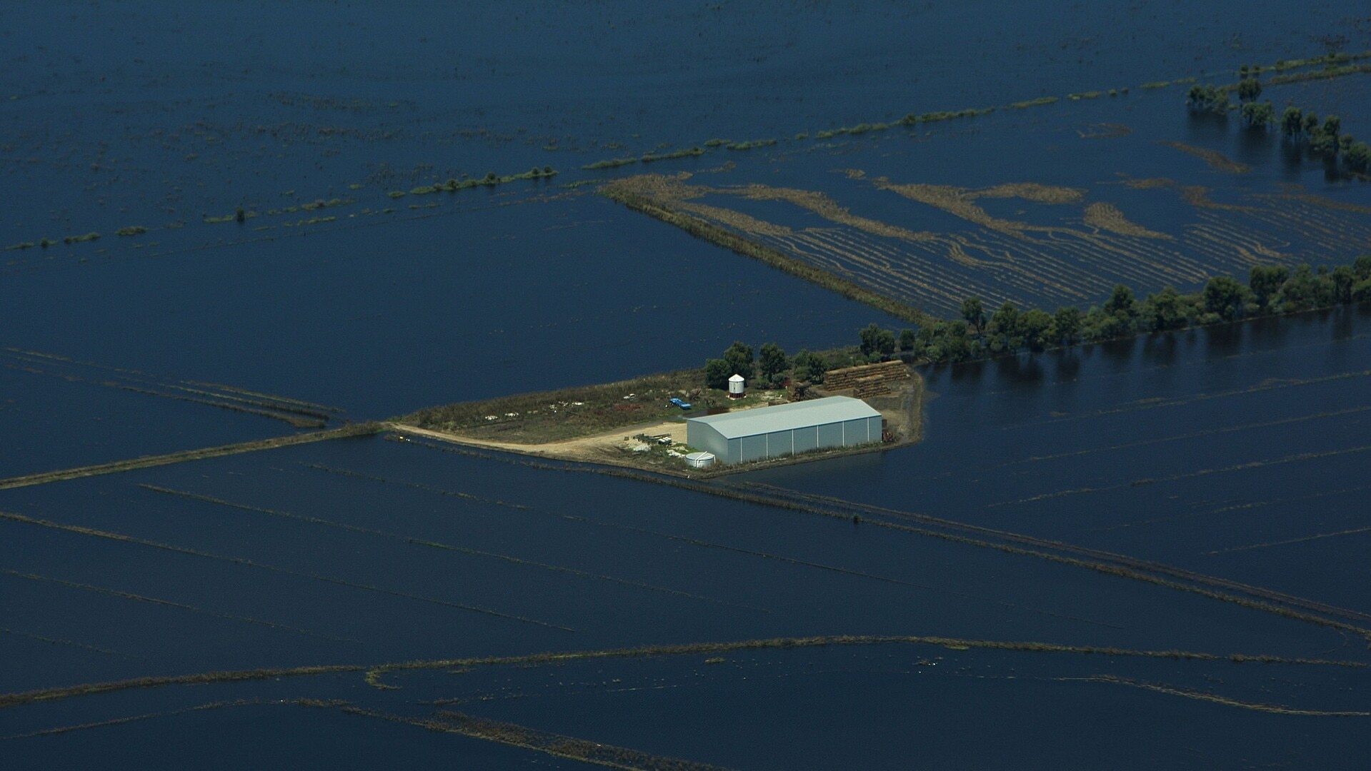 ‘Hard to imagine’: Victorian farmers to face agricultural challenges after flooding crisis