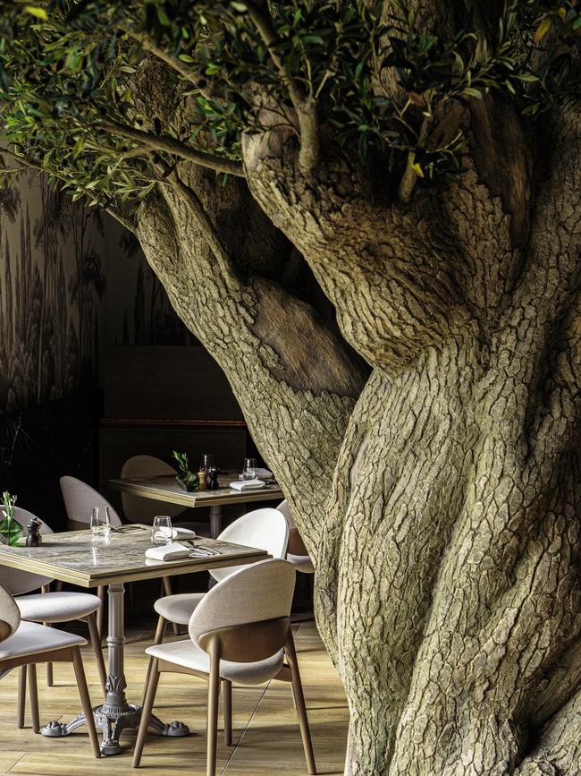 Mercato restaurant’s faux olive tree. Picture: Chris Schalkx.