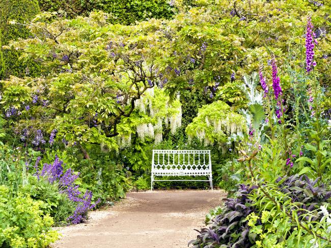 The right scent can transform your garden.