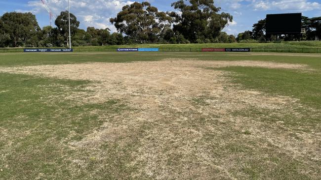 Southern side of Elsternwick Park on November 9.