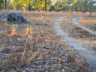 The dry grass at Greymare during one of the worst droughts in history. Picture: Gerard Walsh