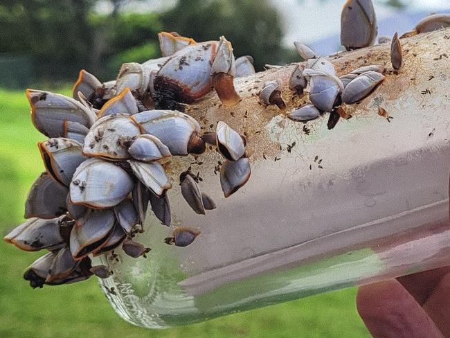 A swimmer has shared his unbelievable discovery of a piece of ‘treasure’ tossed into the ocean three years ago.