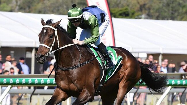 Incentivise faces better quality opposition on Saturday. Picture: Trackside Photography