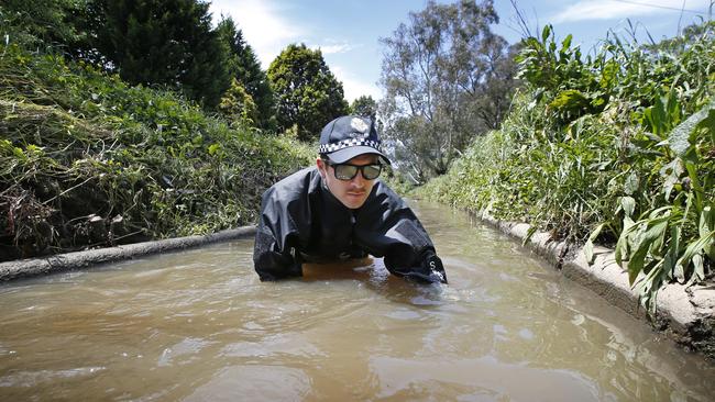 Search and Rescue Police search through Dandenong Creek for evidence linked to the shooting. Picture: David Caird