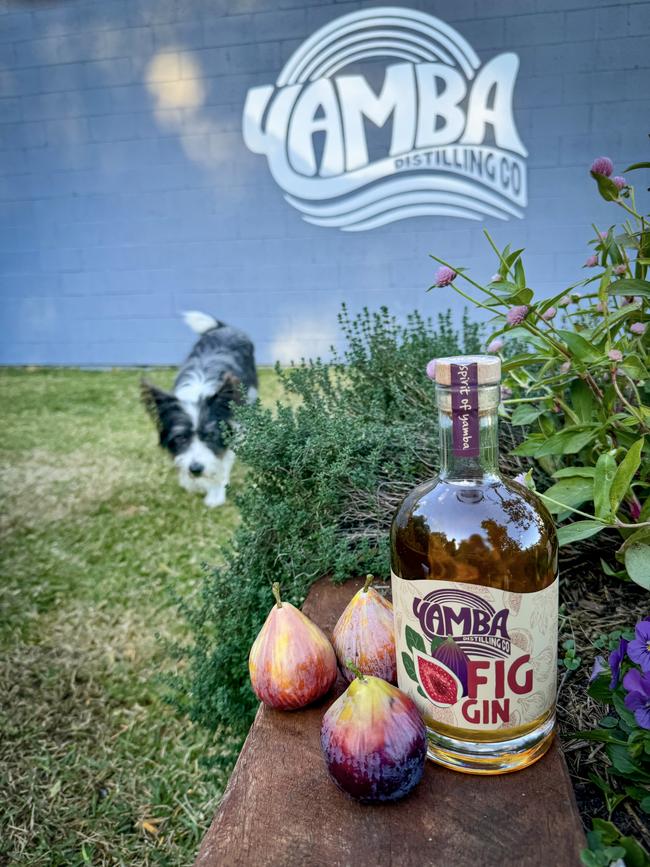 The Yamba Distilling Co’s gins made with local produce. Picture: Jenifer Jagielski