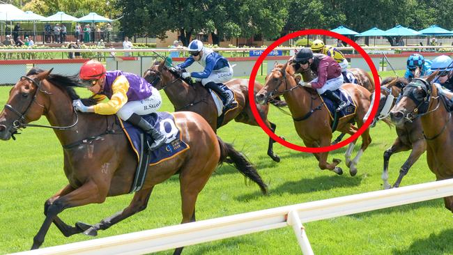 Mrs Secombe (circled) was an eyecatcher behind Pula at Bendigo last time out and can break through for her maiden victory at Kyneton on Tuesday. Picture: Brett Holburt / Racing Photos