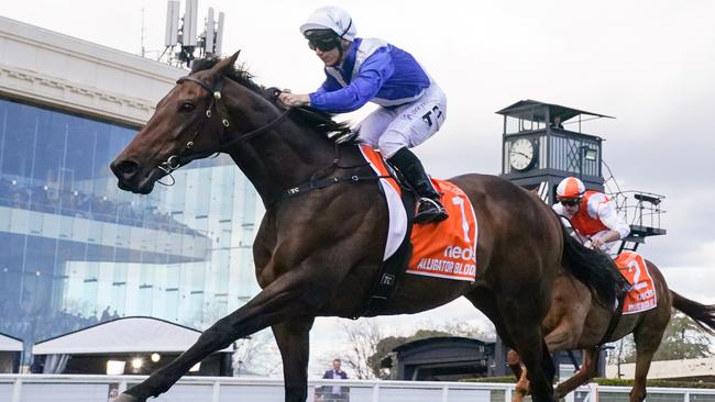 Alligator Blood is a big chance in the Cox Plate.