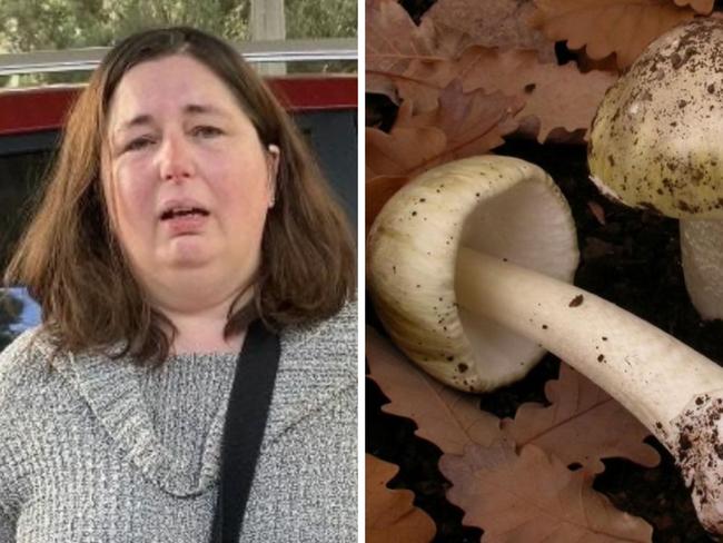 Erin Patterson claimed to police mushrooms were bought from local shop