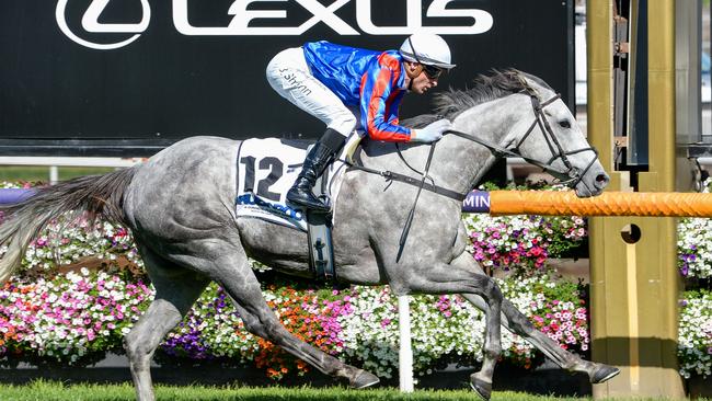 Sea What I See makes her much awaited return to racing at The Valley on Saturday. Picture: Ross Holburt / Racing Photos