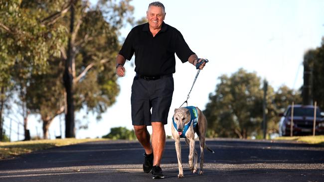 A trimmed down Ray Hadley is an ambassador for the adopt-a-greyhound program.