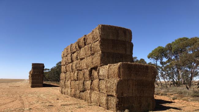 Piling up: While many growers have export contracts at high prices for top grade hay, the season is not conducive to high quality.