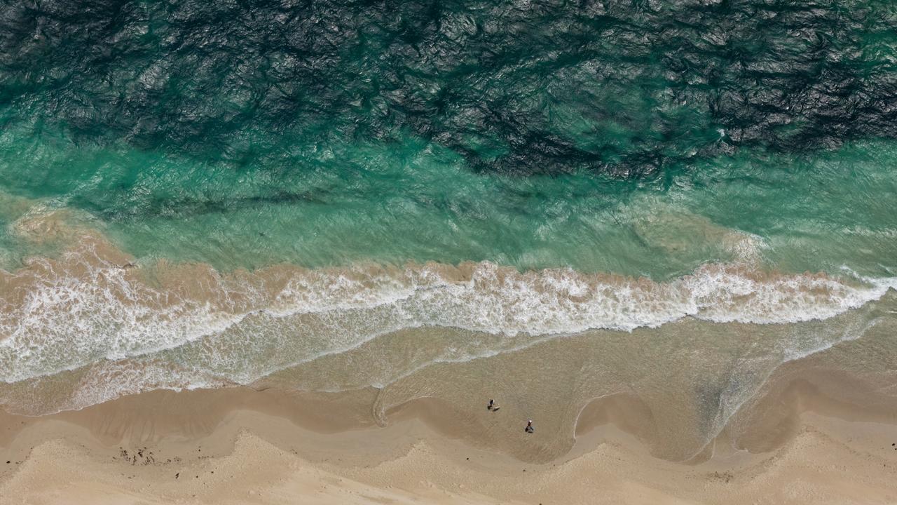 Perth’s City Beach closed after 3m hammerhead sighted near shore | news ...