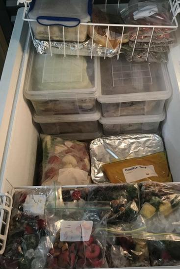 Rebekah’s deep freezer stores the meals for the whole term. Source: Supplied