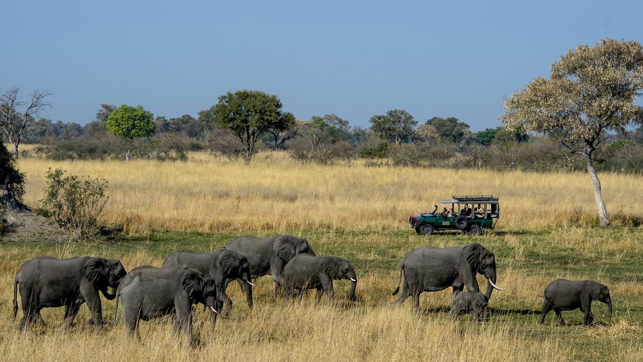 Inside Moremi Game Reserve, a new camp in Botswana’s Okavango Delta ...